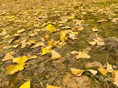 -柳侯公园