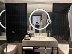 -新加坡乌节希尔顿酒店 (SG Clean)
