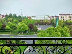 -上海都市菜园