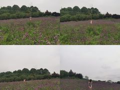 -秀丽东方