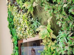 -深圳雅呗德口腔门诊部(坪山店)