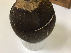 -志龙皇冠吃货椰子铺