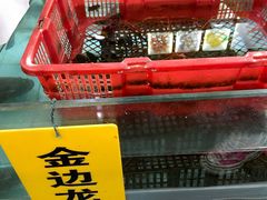 -寻味顺德·南记酒家·传统顺德菜·鱼生(广源路店)