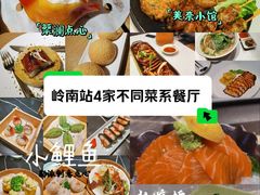 -岭南站NOVA