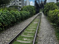 -武吉知马自然保护区