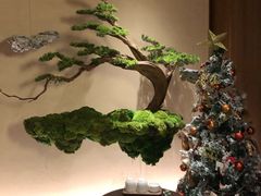 -揽季锅物会.福建黄鱼.海鲜姿造(五四路店)