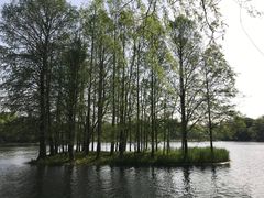 -上海共青森林公园