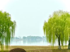-漕湖湿地公园