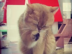 -福田卓悦INTOWN购物中心