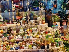 -循礼门鲜花花市(武汉循礼门店)