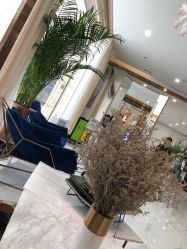 大厅-3AM HAIR SALON烫发染发接发