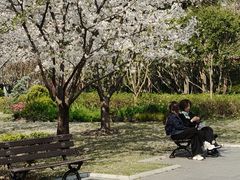 -徐家汇源景区-衡山公园