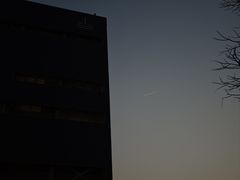 -上海当代艺术博物馆-地面停车场