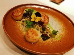 -Oyster Talks 四度蚝法餐厅