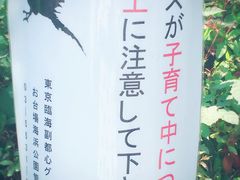 -台场海滨公园船码头