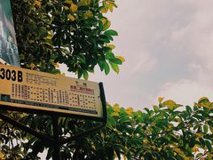 -black rainbow coffee