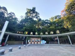 -南山植物园