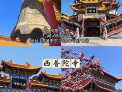 -黔灵山公园