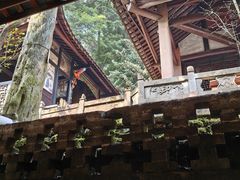 -青城山