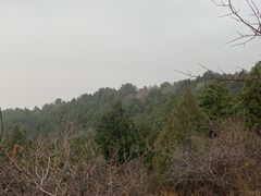 -北京西山国家森林公园