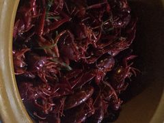 -眼镜哥浦江夜宵大本营