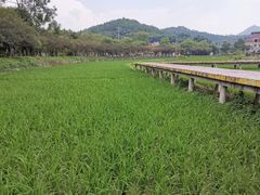 -红山村
