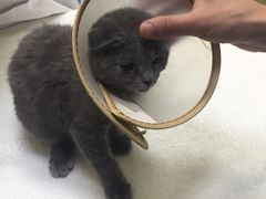 -惠康宠物医院(华能路店)