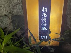 -台山颐和温泉城