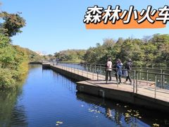 -济州森林小火车生态公园