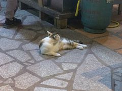 -老宅原住民沙茶面精品小吃(龙头路店)
