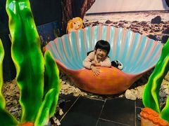 -江和美海洋公园