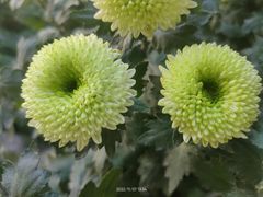 -杭州植物园