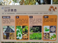 -玲珑塔公园