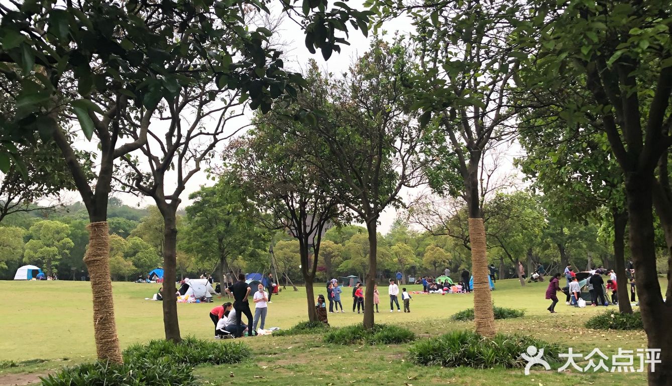 出示了绿色随申码和提前买的门票才入园