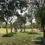 出示了绿色随申码和提前买的门票才入园