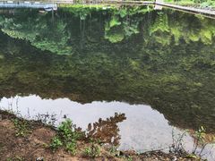 -楠溪江石桅岩