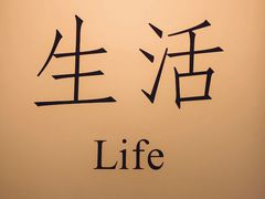 -陈添記·祖傳爽鱼皮·西关老字号(广州首店)