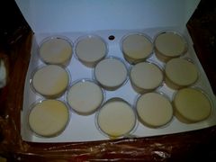 -欧贝拉蛋糕店(东门路店)