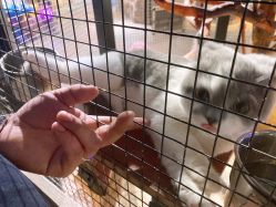 -酷嗒动物文化乐园(cutezoo西溪乐天城店)