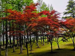 -暨阳湖生态园