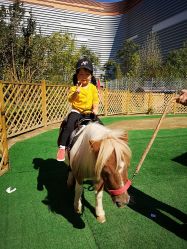 -萌宠亲子动物乐园(槐房万达店)