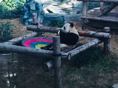 -大连森林动物园