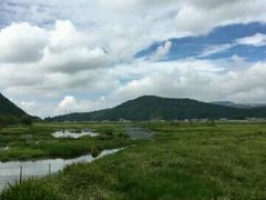 -腾冲北海湿地