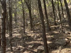 -白佛山景区