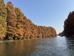 -上海海湾国家森林公园