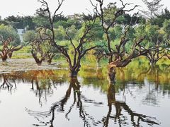 -鹤之洲湿地公园
