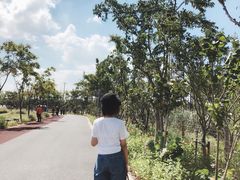 -上海长兴岛郊野公园