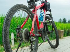 -三圣花乡旅游区