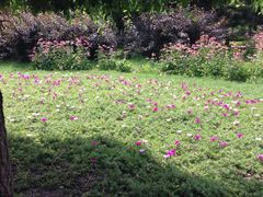 -长春公园(普阳街道)