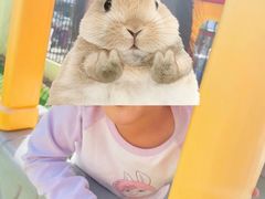 -爱彼格林珑悦幼儿园